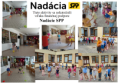 /album/nadacia-spp/cvc-sturovo-lopty-png/