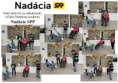 /album/nadacia-spp/cvc-sturovo-postihnuti-png/