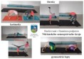 /album/nitriansky-samospravny-kraj/gymnastika-01-jpg1/